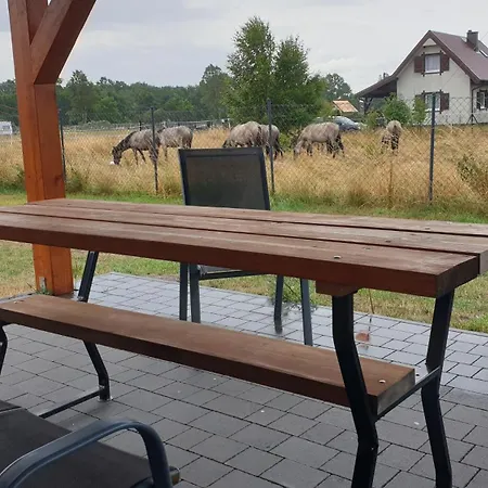 Slowinskie Widoki Domki Flora, Fauna, Noclegi Smoldzinski Las Exterior photo