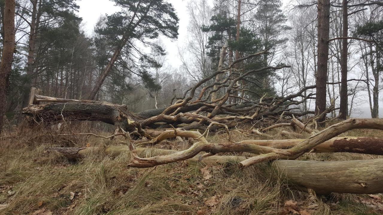 Slowinskie Widoki Flora, Fauna, Smoldzinski Holiday home *