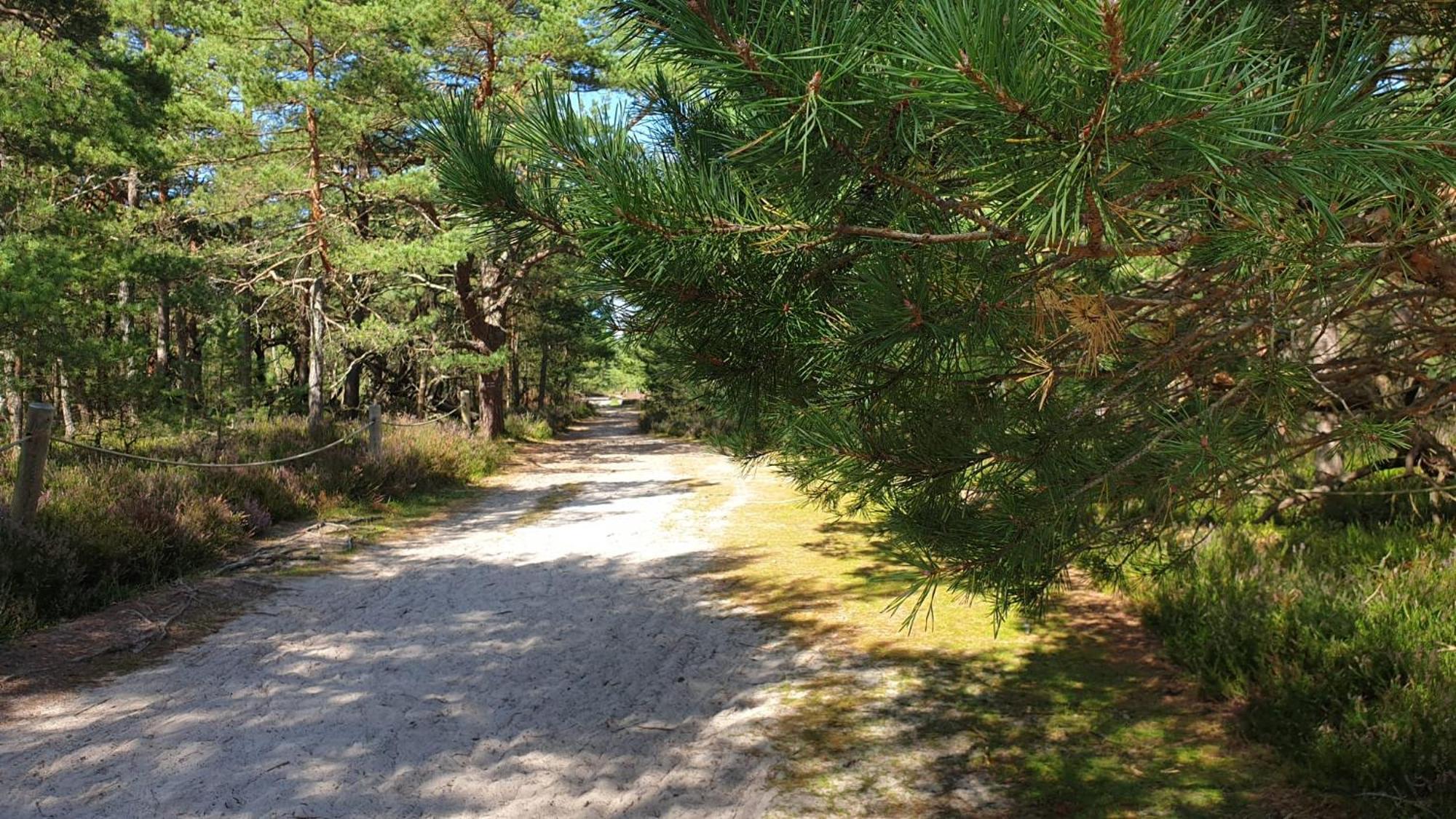 Holiday home Slowinskie Widoki Flora, Fauna, Smoldzinski