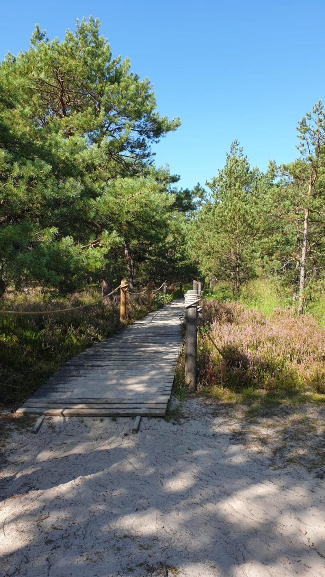 Slowinskie Widoki Flora, Fauna, Smoldzinski *