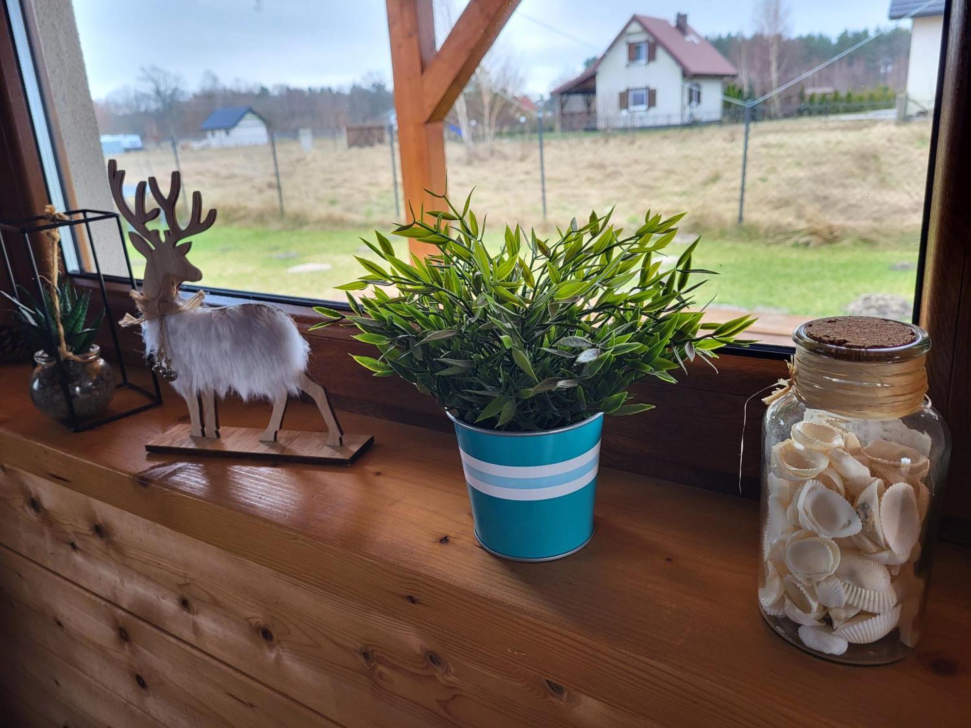 Slowinskie Widoki Flora, Fauna, Smoldzinski Holiday home Smoldzinski Las